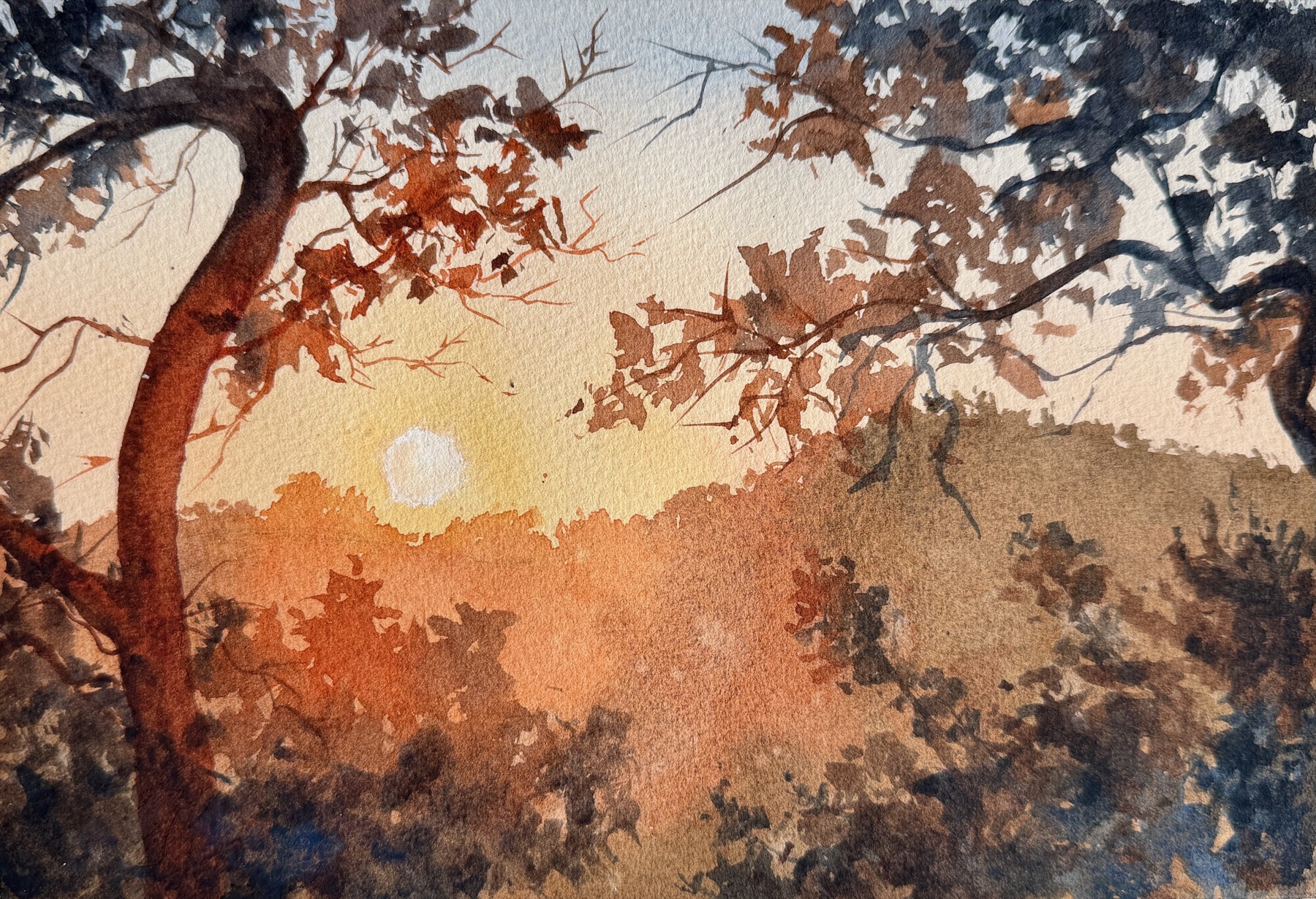 Sunset Glow